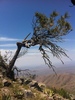 photo thumbnail #14