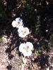 photo thumbnail #15