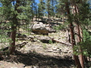 photo thumbnail #3