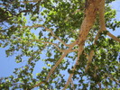 photo thumbnail #15