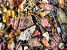 photo thumbnail #12