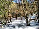 photo thumbnail #14