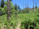 photo thumbnail #6