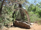 photo thumbnail #1