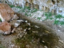 photo thumbnail #8