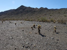 photo thumbnail #1