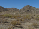 photo thumbnail #2