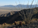 photo thumbnail #5