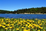 photo thumbnail #6