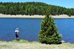 photo thumbnail #8