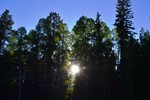 photo thumbnail #14