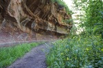 photo thumbnail #5