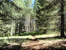 photo thumbnail #1