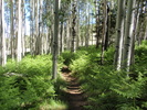 photo thumbnail #2