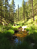 photo thumbnail #9