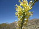 photo thumbnail #11