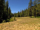 photo thumbnail #14