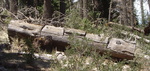 photo thumbnail #4