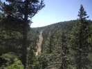 photo thumbnail #7