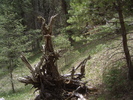 photo thumbnail #10