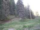 photo thumbnail #7