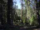 photo thumbnail #10