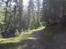 photo thumbnail #11