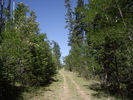 photo thumbnail #13