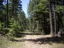 photo thumbnail #14