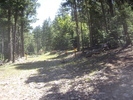 photo thumbnail #15