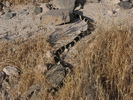 photo thumbnail #13