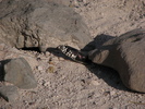 photo thumbnail #15
