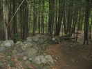 photo thumbnail #6