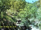 photo thumbnail #11