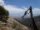 photo thumbnail #15
