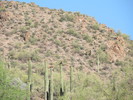 photo thumbnail #4