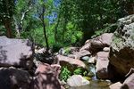 photo thumbnail #4