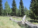 photo thumbnail #5