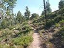 photo thumbnail #3