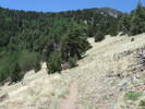 photo thumbnail #10