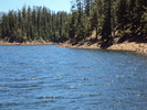 photo thumbnail #6