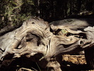 photo thumbnail #13