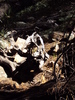photo thumbnail #14