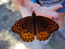photo thumbnail #9