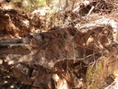 photo thumbnail #14