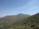 photo thumbnail #2