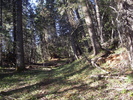 photo thumbnail #8