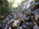 photo thumbnail #10
