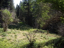 photo thumbnail #11