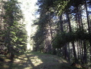 photo thumbnail #12